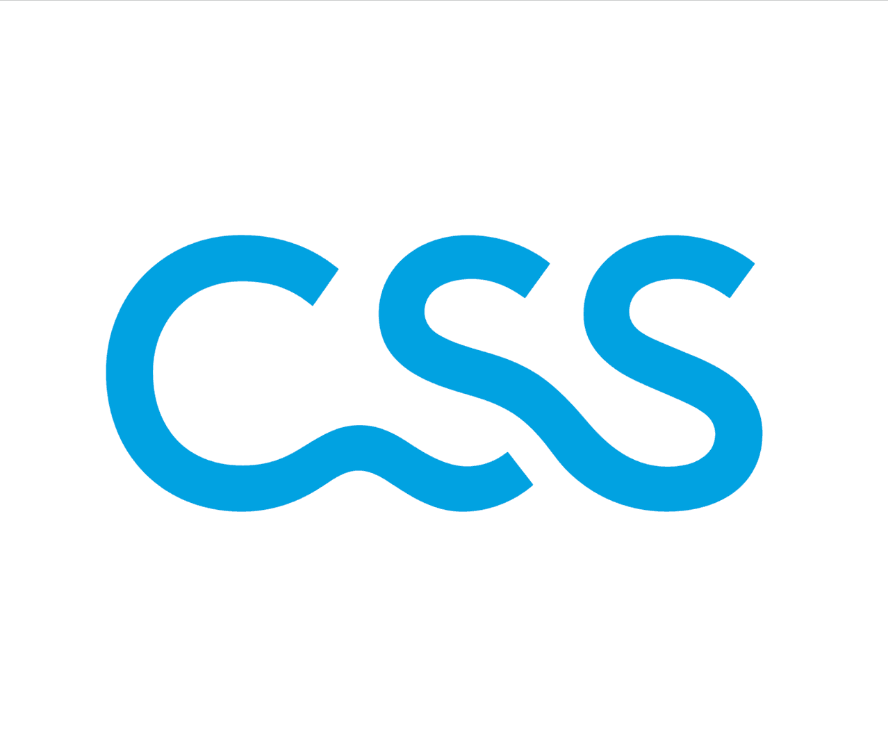 CSS Versicherung